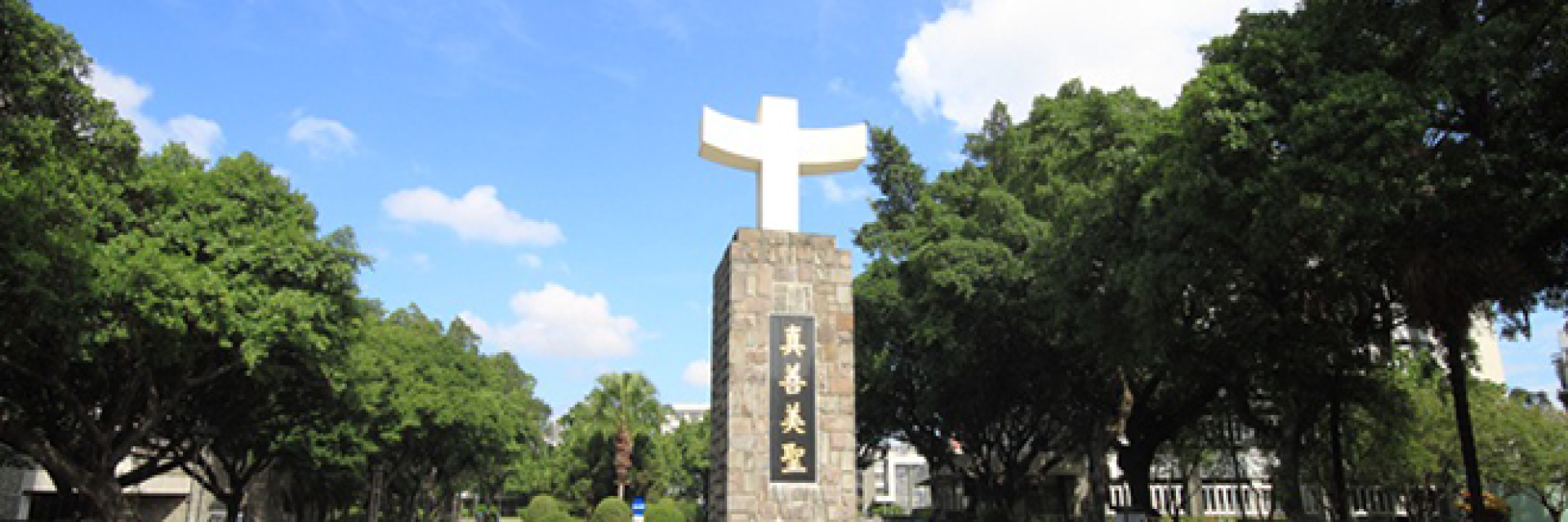 捷報與狂賀~!115學年度多媒科大學特殊選材才錄取