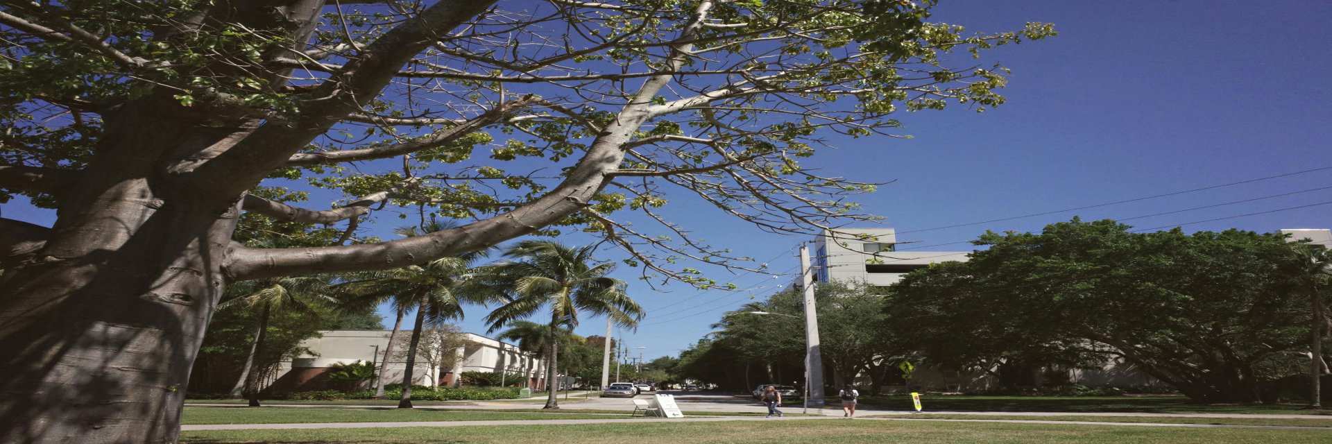 本校115年度大學/大學繁星/特選升學暨與海外升學榜單