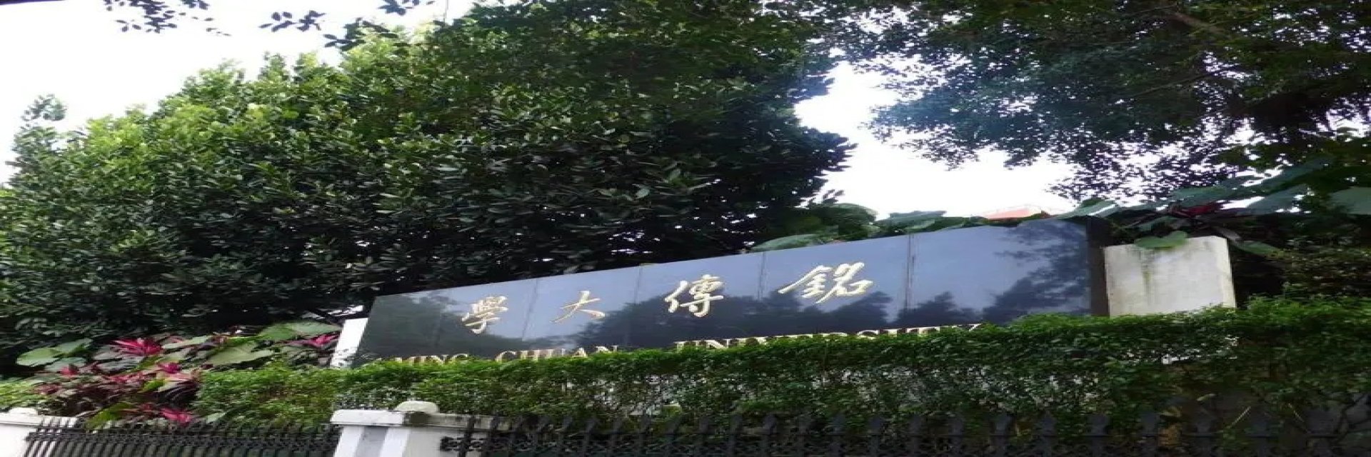 捷報與狂賀115學年度多媒科大學特殊選材才錄取
